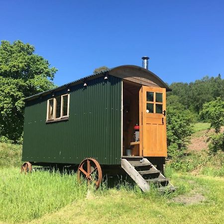 Cosy Woodland Off Grid Shepherds Hut - Rowan Villa Castle Douglas ภายนอก รูปภาพ