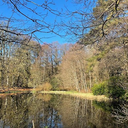 Cosy Woodland Off Grid Shepherds Hut - Rowan Villa Castle Douglas ภายนอก รูปภาพ