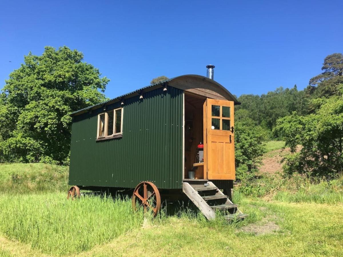Cosy Woodland Off Grid Shepherds Hut - Rowan Villa Castle Douglas ภายนอก รูปภาพ
