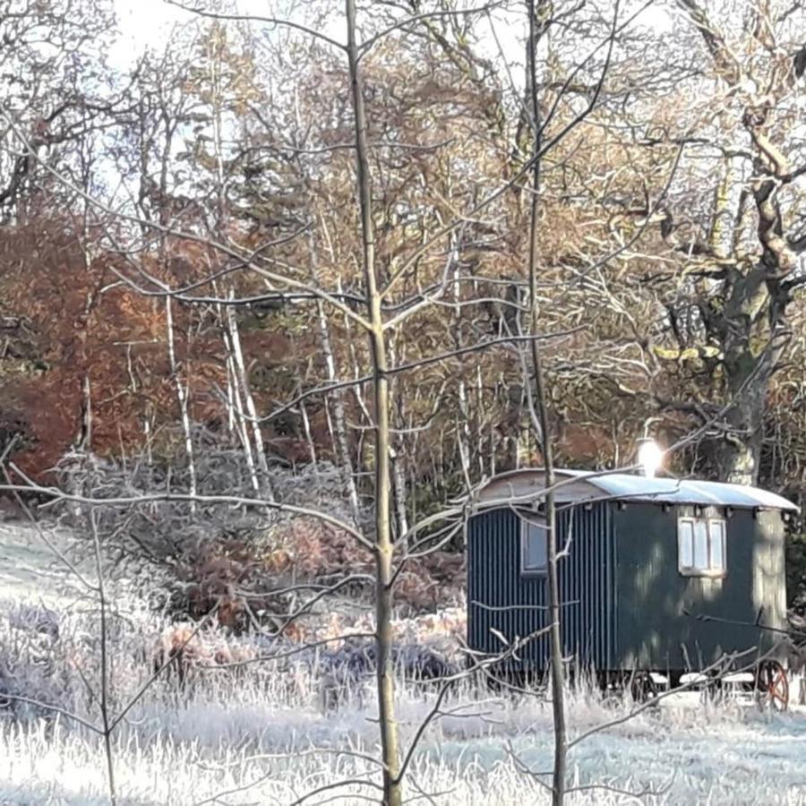 Cosy Woodland Off Grid Shepherds Hut - Rowan Villa Castle Douglas ภายนอก รูปภาพ