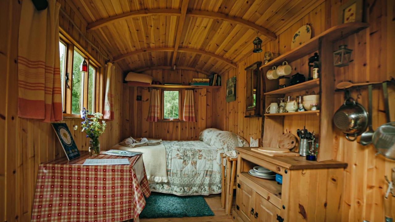 Cosy Woodland Off Grid Shepherds Hut - Rowan Villa Castle Douglas ภายนอก รูปภาพ