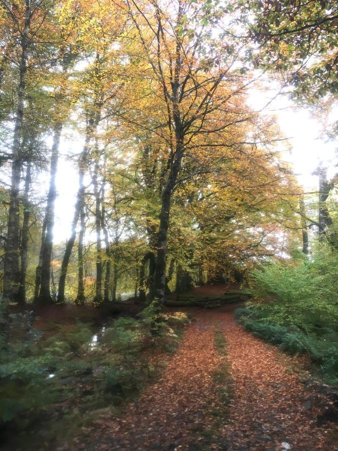 Cosy Woodland Off Grid Shepherds Hut - Rowan Villa Castle Douglas ภายนอก รูปภาพ