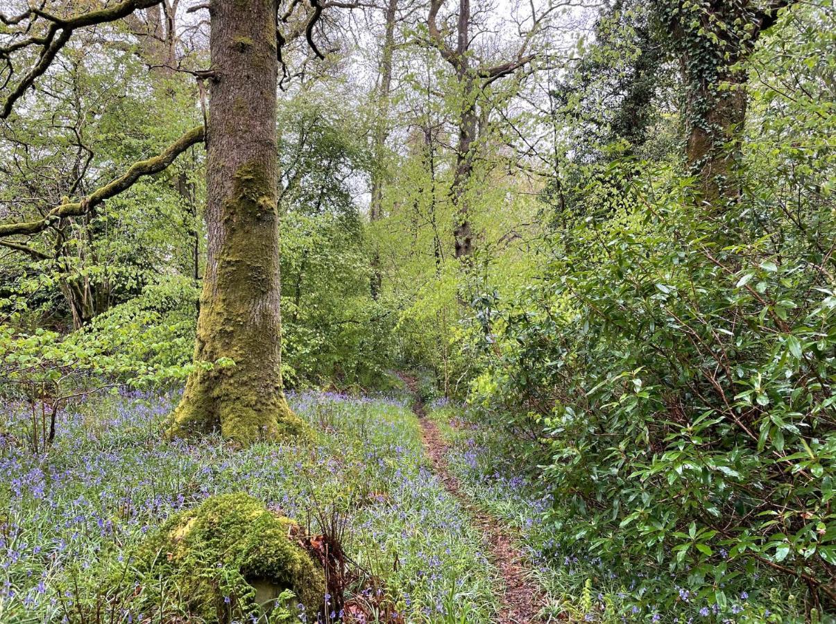 Cosy Woodland Off Grid Shepherds Hut - Rowan Villa Castle Douglas ภายนอก รูปภาพ