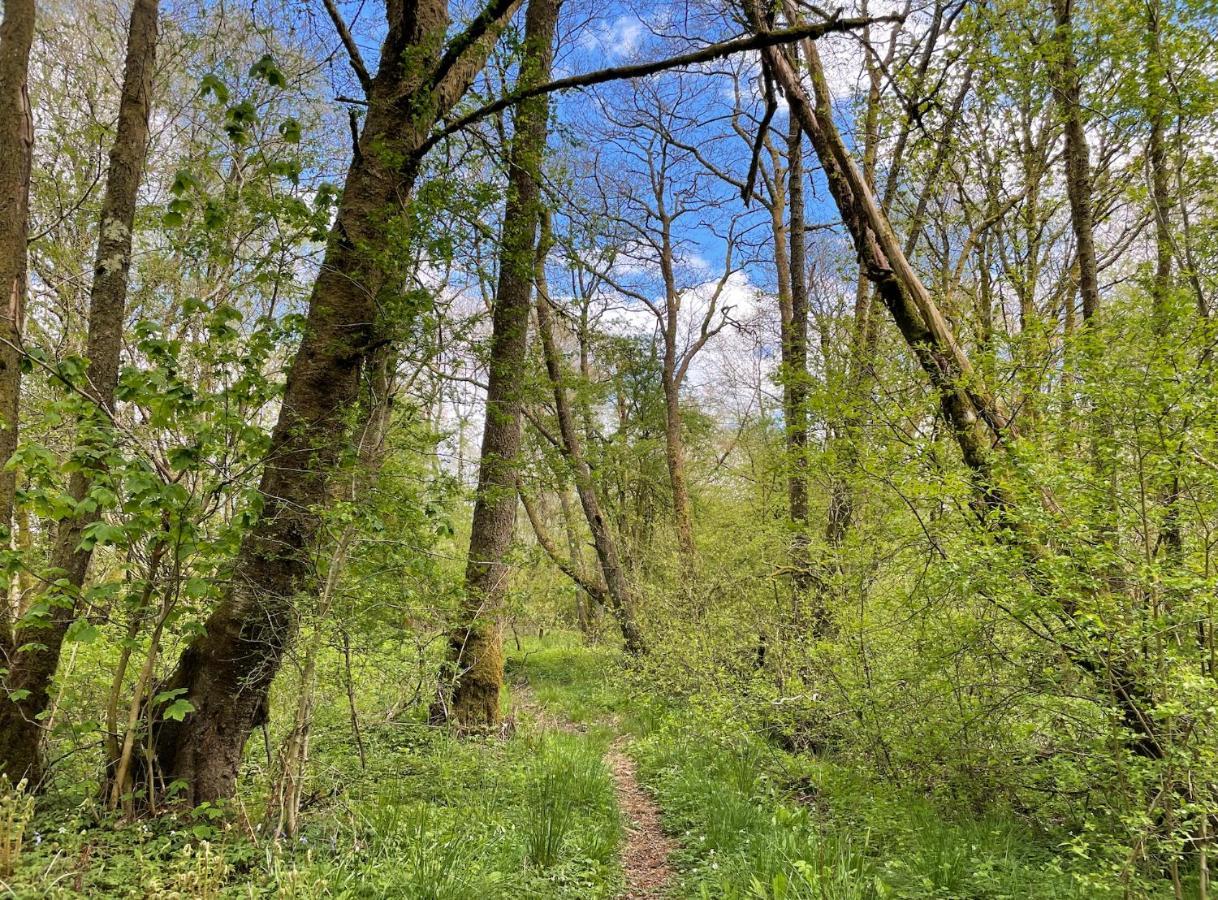 Cosy Woodland Off Grid Shepherds Hut - Rowan Villa Castle Douglas ภายนอก รูปภาพ